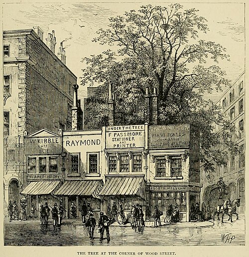 London plane